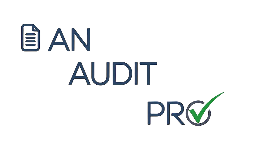 AN_Audit_PRO_Logo