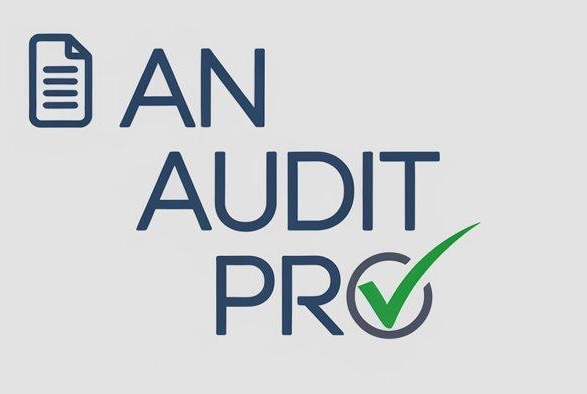 An_Audit_PRO Logo